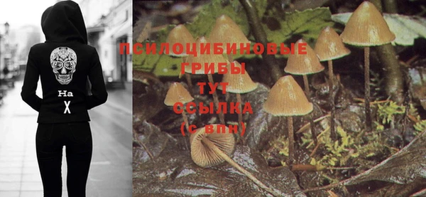 амф Аркадак