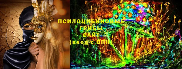 амф Аркадак