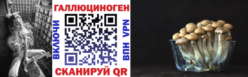 Псилоцибиновые грибы прущие грибы Людиново