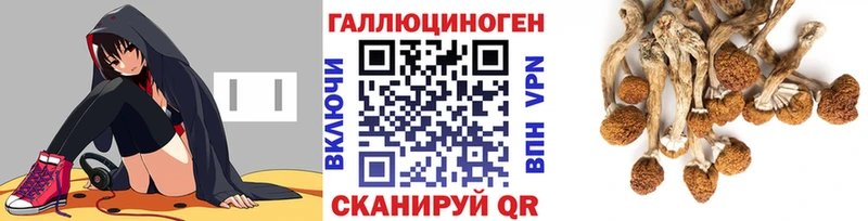 Галлюциногенные грибы прущие грибы  купить закладку  нарко площадка официальный сайт  Людиново 